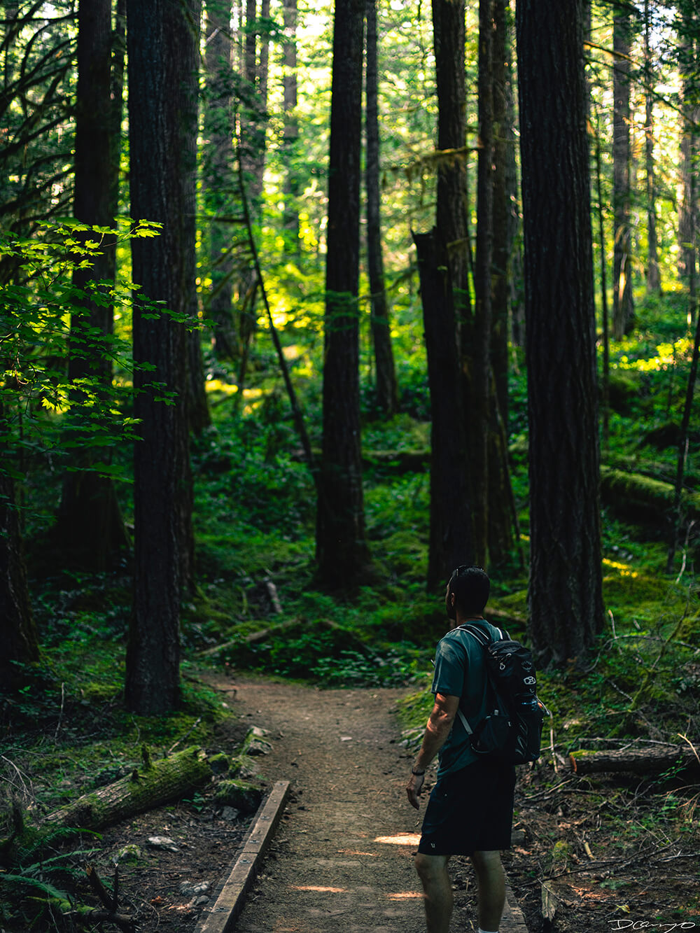 Landscape and portrait photos from a July 2020 trip to the North Cascades. Sourdough Mountain, Diablo Lake, Ross Lake and more.